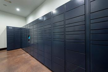 3000 Sage - electronic parcel locker system